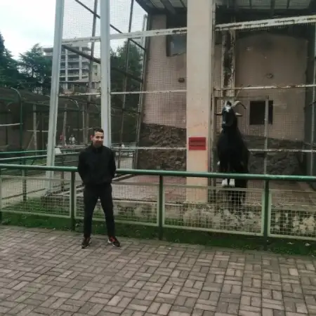 Greg, 35Беэр Шева, Израиль
