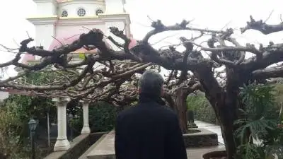 alex, 59Бейт Шемеш, Израиль