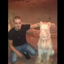 sasha, 36Цфат, Израиль 