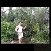 Фото David 1 