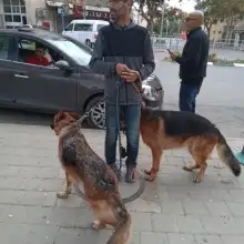 Shay, 50 лет Beer Sheva, Israel