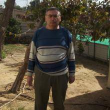 alexandr, 63 года Израиль, Беэр Шева хочет встретить на сайте знакомств   